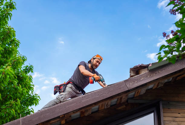 Best Commercial Roofing Services  in Palm Harbor, FL