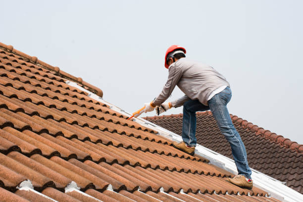 Best Wood Shake Roofing  in Palm Harbor, FL