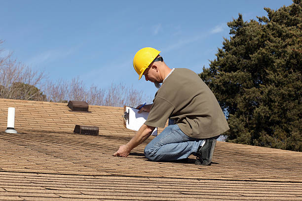 Skylights in Palm Harbor, FL