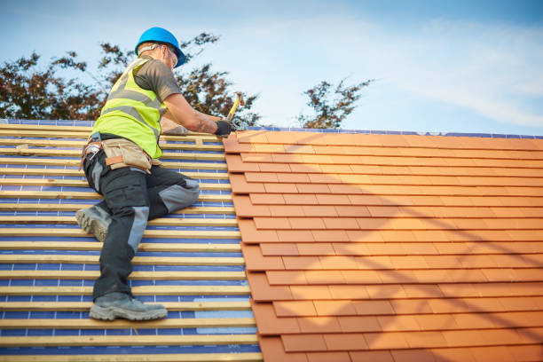 Best Roofing for New Construction  in Palm Harbor, FL