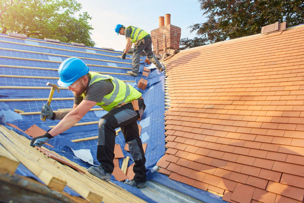 Best Solar Panel Roofing Installation  in Palm Harbor, FL